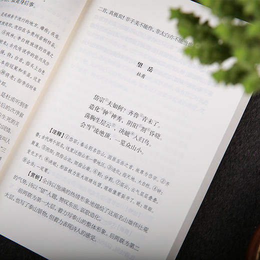 谦德国学文库 唐诗三百首（新版） 商品图4