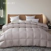 6F堂皇  奢.至暖匈牙利进口95白鹅绒冬被 商品缩略图0