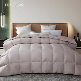 6F堂皇  奢.至暖匈牙利进口95白鹅绒冬被