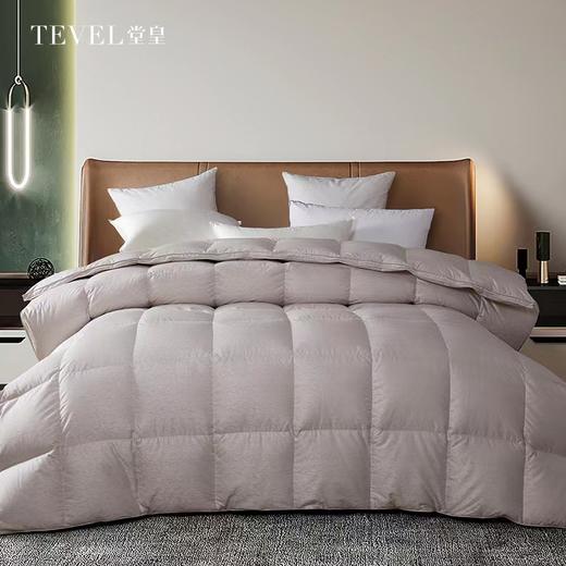 6F堂皇  奢.至暖匈牙利进口95白鹅绒冬被 商品图0