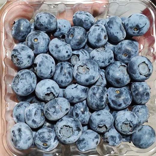 进口蓝莓125G 商品图3