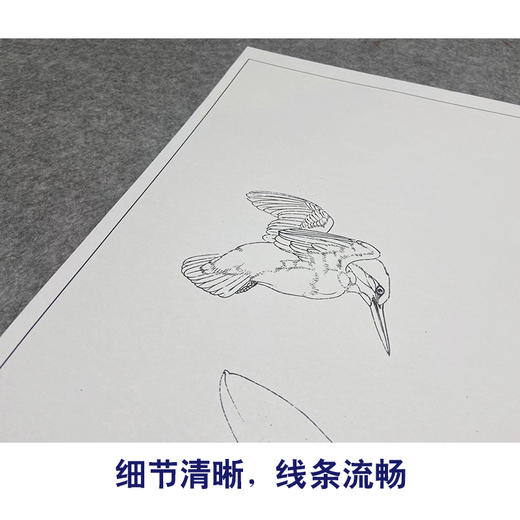 【大彩图】李晓明工笔画白描底稿《独舞晨风中》荷花临摹勾线花鸟线稿K080 商品图4