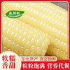 东北白糯玉米/黄糯玉米/黑糯玉米，真空锁鲜，颗粒饱满，香黏软糯，老少皆宜，特别适合身材管理期人群，全国包邮 商品缩略图4