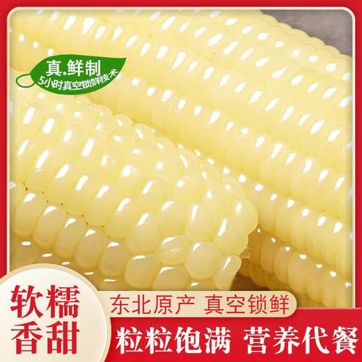东北白糯玉米/黄糯玉米/黑糯玉米，真空锁鲜，颗粒饱满，香黏软糯，老少皆宜，特别适合身材管理期人群，全国包邮 商品图4