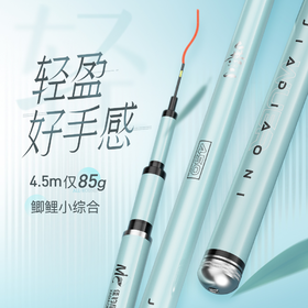 佳钓尼新品无二扶光鱼竿轻量小综合竿超轻超硬钓鱼竿