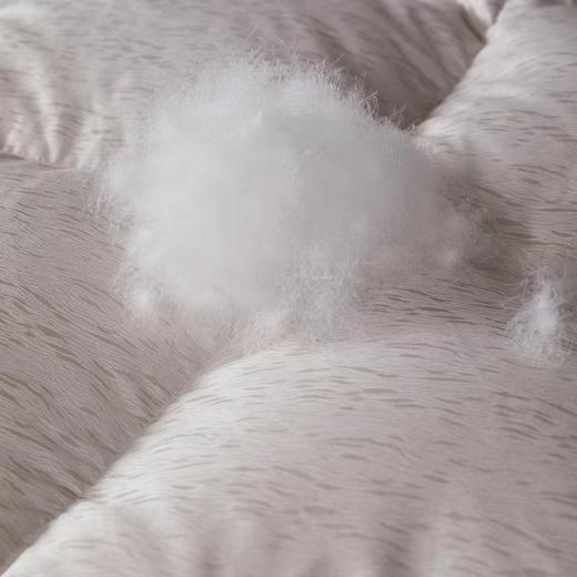 6F堂皇  奢.至暖匈牙利进口95白鹅绒冬被 商品图3