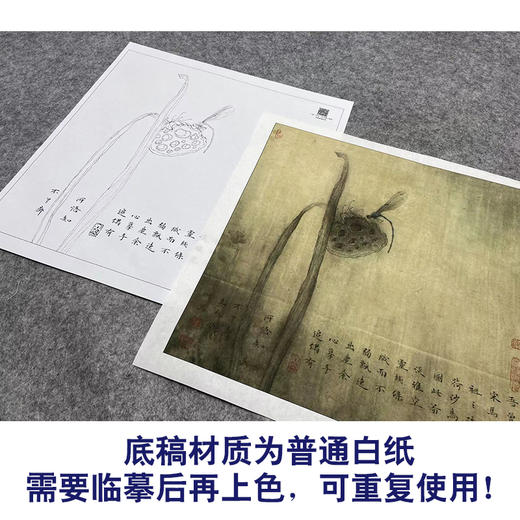 【大彩图】李晓明工笔画白描底稿小品《豆娘残荷》荷花临摹勾线花鸟线稿K079 商品图3