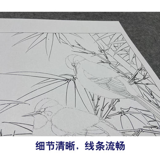 【大彩图】工笔画白描底稿小品《意临白头丛竹图》大山雀临摹勾线花鸟线稿K070 商品图4