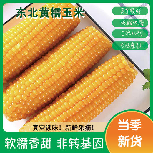 东北白糯玉米/黄糯玉米/黑糯玉米，真空锁鲜，颗粒饱满，香黏软糯，老少皆宜，特别适合身材管理期人群，全国包邮 商品图0