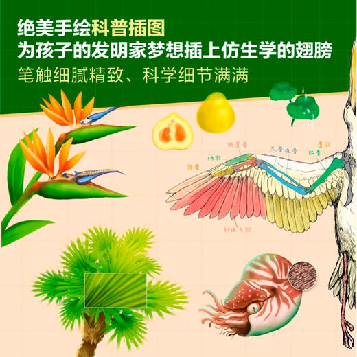 大自然是个发明家 8岁以上  梅兰妮·莱布尔 著 科普 百科 商品图2
