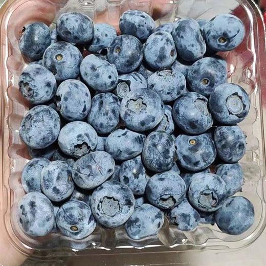 进口蓝莓125G 商品图4