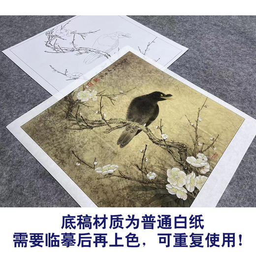 【大彩图】李晓明工笔画白描底稿斗方小品《梅花八哥》临摹勾线花鸟线稿K062 商品图3