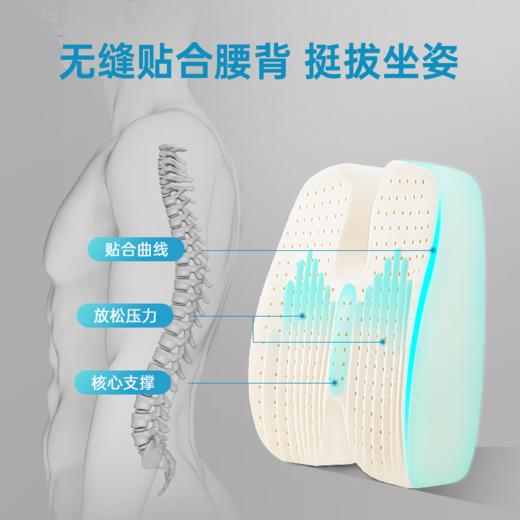 nittaya翼型减压腰靠 FX-A-902-1 【QTT-TQ9-15】 商品图2