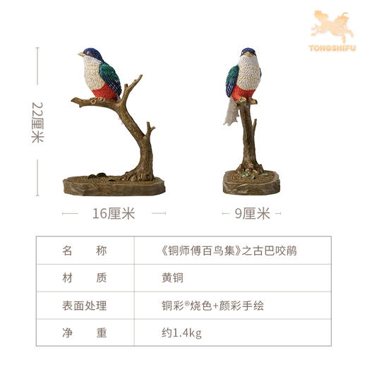 铜师傅 铜摆件《铜师傅百鸟集》之古巴咬鹃 铜工艺品 家居饰品摆件 商品图5