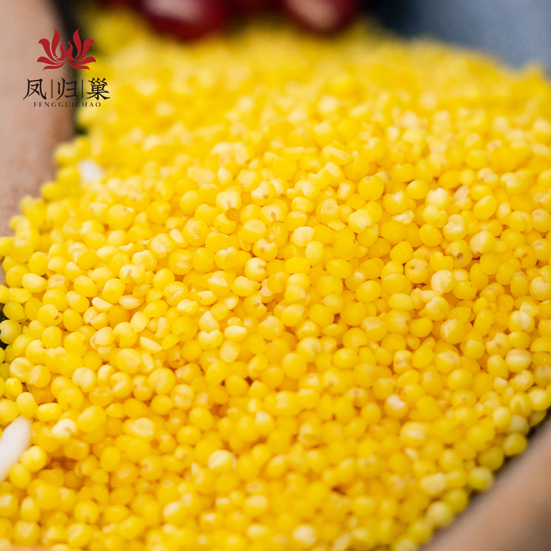 【温暖暖心粥】凤归巢 小米 500克真空袋装 有机种植谷子加工