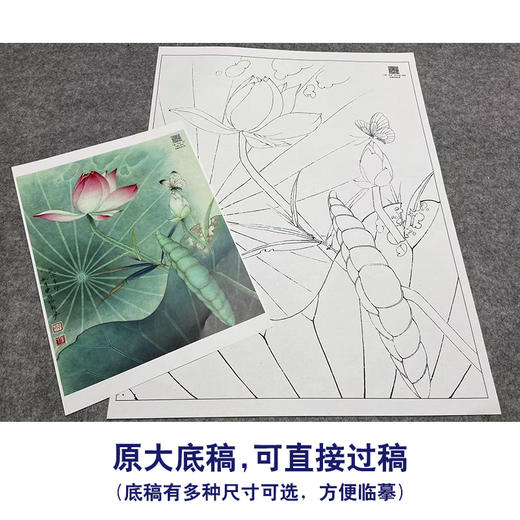 【大彩图】李晓明工笔画白描底稿《白蝶粉荷》荷花临摹勾线花鸟线稿K081 商品图1