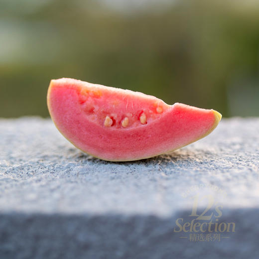 奶油冰淇淋香软芭乐 白心红心番石榴 净重5斤 京东快递 商品图10