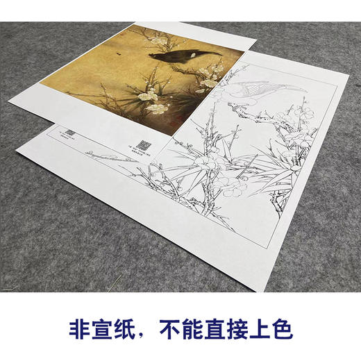 【大彩图】李晓明工笔画白描底稿斗方小品《白梅花鸲鹆》临摹勾线花鸟线稿K055 商品图2