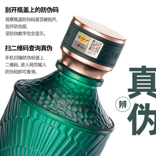 泸州老窖 高光酒G3 浓香型白酒 40.9度500ml 整箱装 商品图11