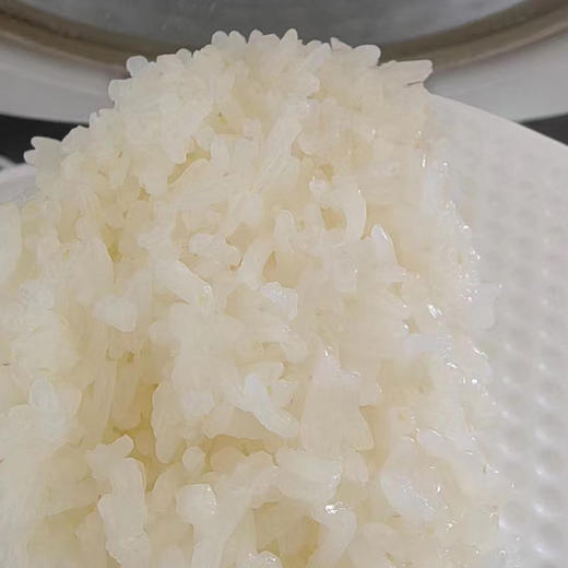 【新疆沙漠富硒大米寿司米】 天山雪水灌溉 190天生长期  80%的胚芽保留率 商品图4