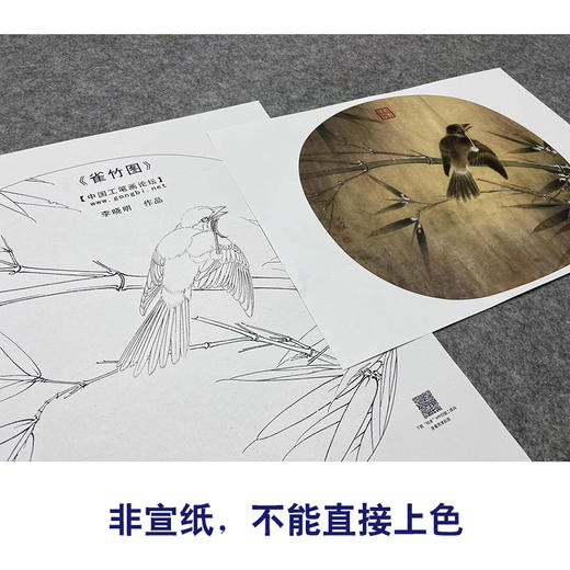 【大彩图】李晓明工笔画白描底稿小品《雀竹图》雀鸟临摹勾线花鸟线稿K066 商品图2