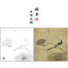 【大彩图】李晓明工笔画白描底稿斗方小品《临宋疏荷沙鸟图》临摹勾线花鸟线稿K067 商品缩略图0