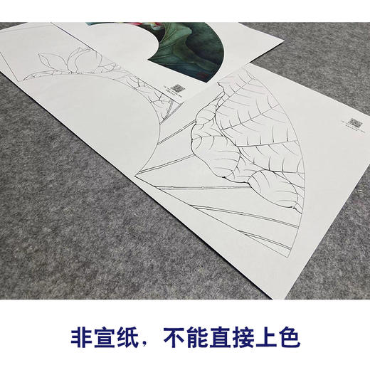 【大彩图】李晓明工笔画白描底稿扇面小品《荷花》临摹勾线花鸟线稿K073 商品图2