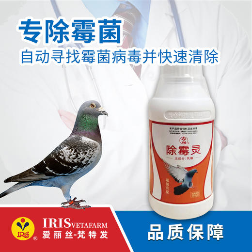 【爱丽丝】除霉灵500毫升 商品图0