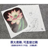 【大彩图】李晓明工笔画白描底稿宫扇《泽艳红芝花》荷花临摹勾线花鸟线稿K077 商品缩略图1