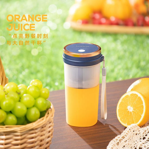 【小家电】龙的便携式果汁机LD-GZ35C HF 商品图3