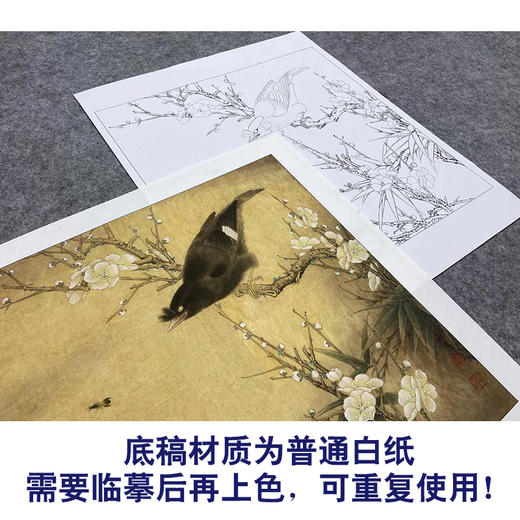 【大彩图】李晓明工笔画白描底稿斗方小品《白梅花鸲鹆》临摹勾线花鸟线稿K055 商品图3