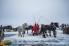 雪韵东北——查干湖冬捕、雾凇岛、老里克湖、长白山天池、魔界、雪乡、东北虎雪地捕食摄影团7——9天 商品缩略图10