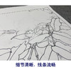 【大彩图】李晓明工笔画白描底稿小品《合欢山雀图》临摹勾线花鸟线稿K105 商品缩略图4