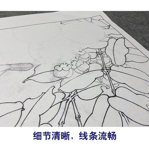 【大彩图】李晓明工笔画白描底稿小品《合欢山雀图》临摹勾线花鸟线稿K105 商品图4