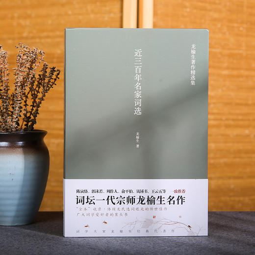 近三百年名家词选 龙榆生著作精选集 商品图0