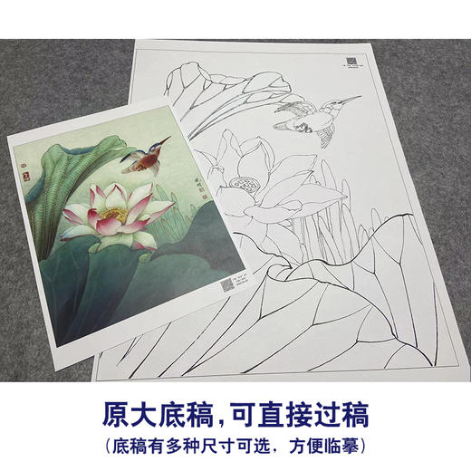 【大彩图】李晓明工笔画白描底稿《菡萏新花》荷花临摹勾线花鸟线稿K087 商品图1