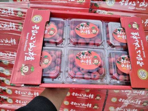 高山甜山楂 开胃解腻 酸酸甜甜甜糯 奶油口感 细腻丝滑的果肉 美妙甜蜜 来自天然 品味自然 与你分享这一刻——爱楂咋地！2.4斤/箱，6盒/箱 商品图2