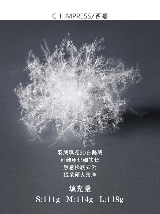 西嘉C+IMPRESS/西嘉短款绗缝高端鹅绒羽绒服女冬季小个子廓型设计保暖YRF2304102 商品图4