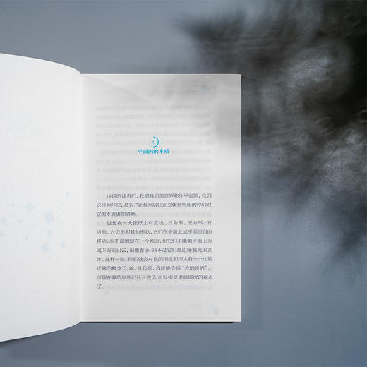 平面国 商品图5