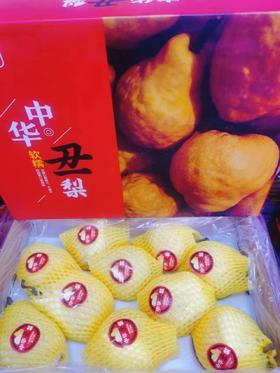 大箱丑梨一箱