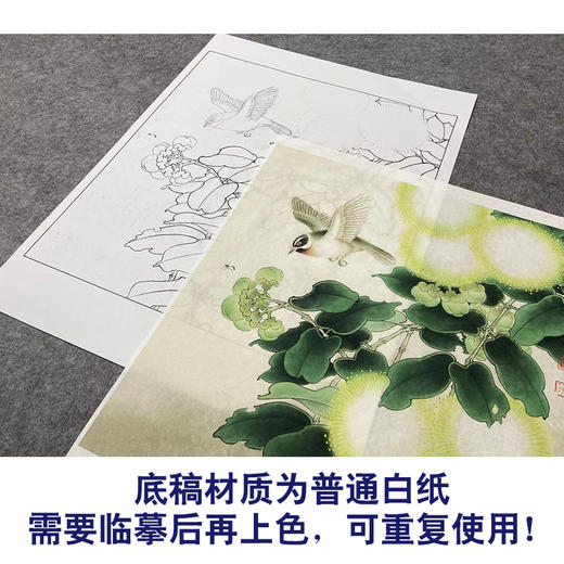 【大彩图】李晓明工笔画白描底稿小品《合欢山雀图》临摹勾线花鸟线稿K105 商品图3