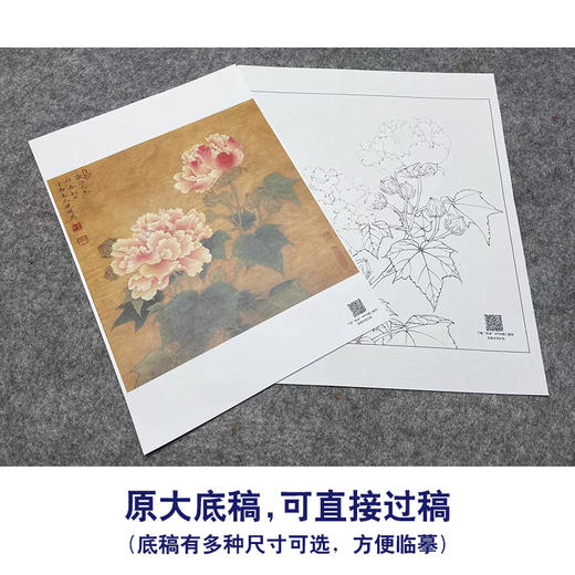 【大彩图】李晓明工笔画白描底稿斗方小品《红芙蓉花》临摹勾线花鸟线稿K111 商品图1