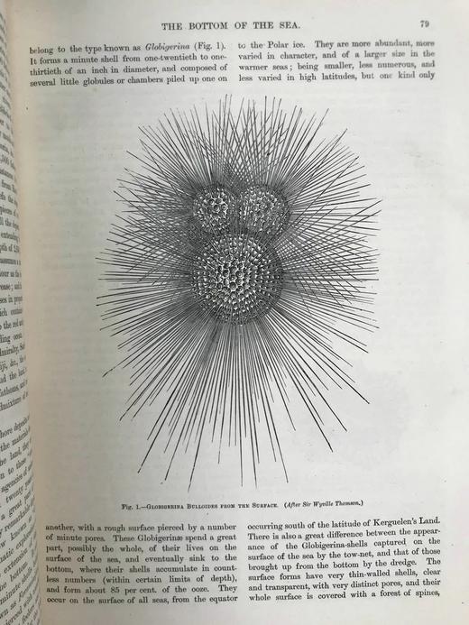 约19世纪后期 万物科学（卷3） 约百幅插图 漆布精装16开 商品图9