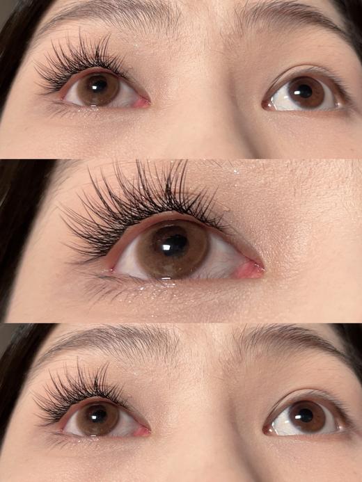 annakelly 红豆丸子 温柔棕色 半年抛 14.2mm 非离子 商品图7