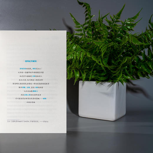 平面国 商品图3