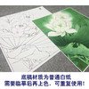 【大彩图】李晓明工笔画白描底稿斗方小品《圣洁之花》白荷临摹勾线花花鸟线稿K093 商品缩略图3