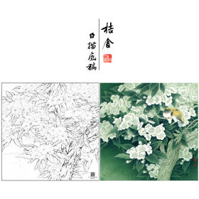 【大彩图】李晓明工笔画白描底稿《五月梨花赛春雪》梨花临摹勾线花鸟线稿K110