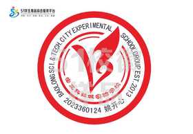 定制深圳市龙岗区宝龙科技城实验学校熨烫校徽贴胸章可缝制包邮51