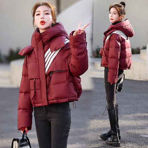 羽绒服女短款冬季新款，今年流行小个子加厚白鸭绒连帽外套HR-YAX2386 商品图3
