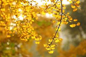 霜降已至，深秋季节汽车保养应该注意什么